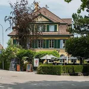 Dieci Allo Zoo Schweiz